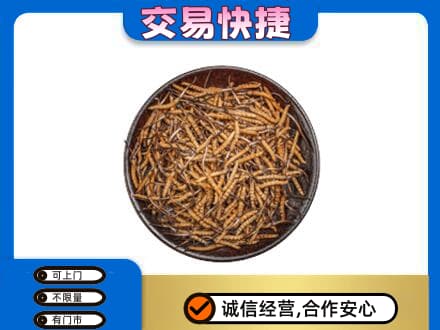 牡丹江阳明区高价回收散虫草